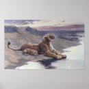 Search for big cat posters Cub