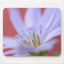 Search for perennial electronics Usa