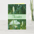 Search for chive cards Herbs