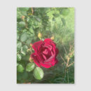 Search for buddy magnets Red