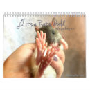 Search for rat calendars Mouse