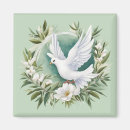 Search for doves magnets Christian