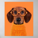 Search for doggie sweaters art Pet