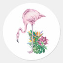 Search for pink flamingo stickers Tropical flowers