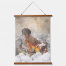 Search for bavarian art Mountain hound