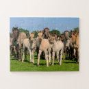 Search for wild horse puzzles Animal