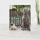 Search for leashes cards Animal