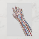 Search for immunology postcards Transparent