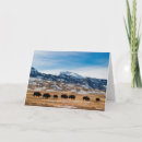 Search for migration cards Herd
