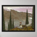 Search for maine posters Mountains