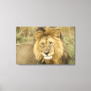 Search for kenya canvas prints Tourism