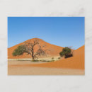 Search for namib postcards Sand