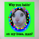 Search for rainbow cat posters Feline