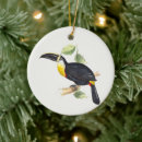 Search for toucan christmas tree decorations Wildlife