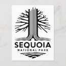 Search for sequoia national park postcards Matching family tourist trip
