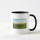 Search for formations mugs States