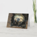 Search for 71 birthday cards Happy 71st birthday