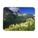 Search for logan magnets Usa