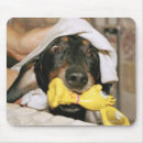 Search for bath mouse mats Humour