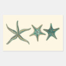 Search for shells rectangle stickers Starfish