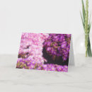 Search for fragrant cards Flower