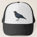 Search for crow hats Bird