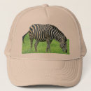 Search for zebra hats Nature