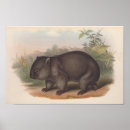 Search for be kind to animals posters Vintage