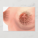 Search for duct postcards Healthcare