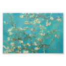 Search for tree flowers posters Blossom