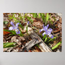 Search for miniature posters Nature