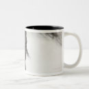 Search for eyes closed mugs Domestic animals