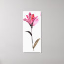 Search for deckled Flowers