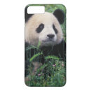 Search for giant panda iphone cases Asia