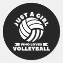 Search for love volleyball stickers Player