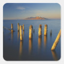 Search for great basin stickers No people