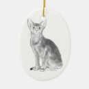 Search for abys Kitty