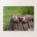 Search for cute otter puzzles Wildlife