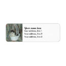 Search for maine coon return address labels Kitten