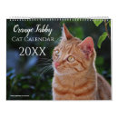 Search for cute kitten calendars 2027