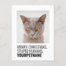 Search for funny christmas postcards Cat
