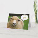 Search for white sheeps cards Ewe