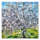 Search for almond branches posters Nature