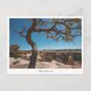 Search for new mexico postcards United states of america