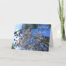 Search for bloom photo cards Blue