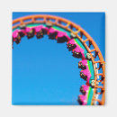Search for coaster magnets Rollercoaster