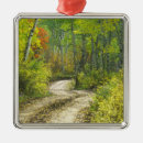 Search for aspen colorado christmas tree decorations Autumn