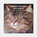 Search for pussi magnets Kitties