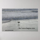 Search for sandpiper art Photography