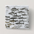 Search for fish badges English